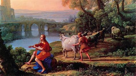 cattle of apollo